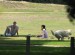 Miley-Liam-relaxing-in-the-park-with-Mate-in-Toluca-Lake-06-26-10-miley-cyrus-13426878-400-292